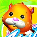 Zhu Zhu Pets DS Speedruns