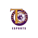 Texas College Esports
