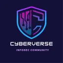 CyberVerse