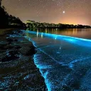 Rainy day vibes discord icon