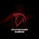 Server von StatuFahri