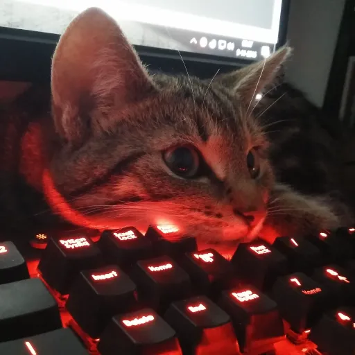 GAMERS PC — мониторинг Discord сервера, статистика и рейтинг