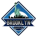 Brooklyn County NY | ER:LC