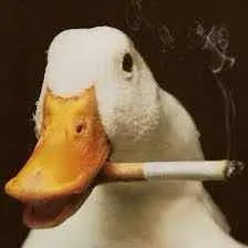 Goose Goose Chill — мониторинг Discord сервера, статистика и рейтинг