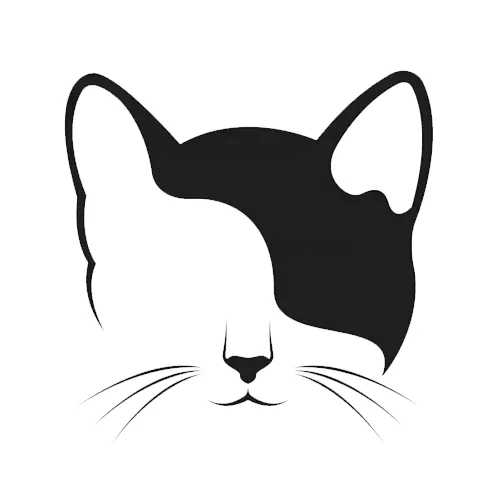 Best Cats - Discord Server Best Cats - Discord Server