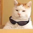 𝓜𝓲𝓪𝓾𝓼 𝓟𝓻𝓸𝓼 Discord Server Icon