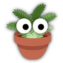 Spicy Bush Productions