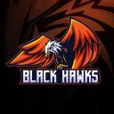 - - - BLACK HAWKS - - - Discord Server Icon