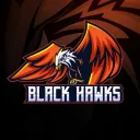 - - - BLACK HAWKS - - - Discord Server Icon