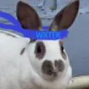 Wxter | Recruiting Arc