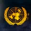 United Nations Community