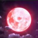 Twilight Mysterys (RP) Discord Server Icon