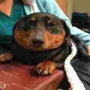 GJ QR Shop ( Nitro/Steam )