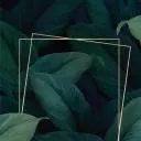 neith Discord Server Icon