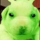 Slime Zone