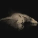 ★𝐁𝐱𝐁𝐱𝐛𝐞★