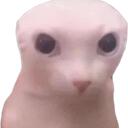 Bignuts' Kingdom of Tomfoolery Discord Server Icon