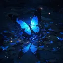 ✬°∘𝙰𝚣𝚞𝚛𝚎 𝙻𝚘𝚞𝚗𝚐𝚎∘°✬