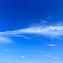 空の鯖