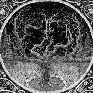 Чаща — мониторинг Discord сервера, статистика и рейтинг
