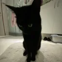 Tek's Silly Place
