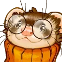 ferretcord