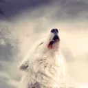 LunaProwlers (LBM)'s icon