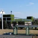 中山競馬場7号障害