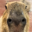 HARM☆NIX Discord server icon