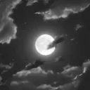 𝐍𝐮𝐞𝐯𝐨 𝐌𝐮𝐧𝐝𝐨