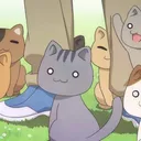 The Kat clan