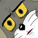 (NSA)Stevens Society