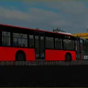 Development busses