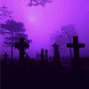 The Coven