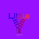 LittleY Netzwerk