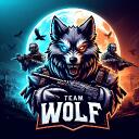 TEAM WOLF EASPORTS Discord Server Icon