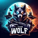TEAM WOLF EASPORTS discord icon