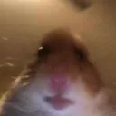 Binkys Basement