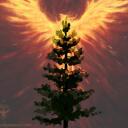 Camp Phoenix 1 Discord Server Icon