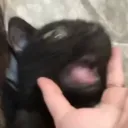 screenshot ALL angles Discord server icon