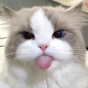 mae hub