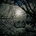 ♡Dawnbreak Gothic server♡'s icon