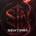 🔱 STN 클랜 : Team Sentinel 🔱