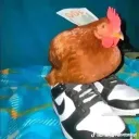 The Underground Coop's icon