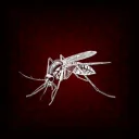 Mosquito Scripts