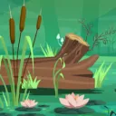 The Bog