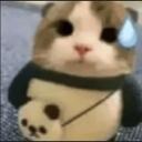 Vanillapuffyy's Cult Discord Server Icon