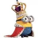 The bob community