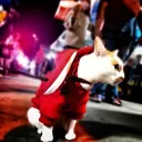 Locke_2708 Discord Server Icon