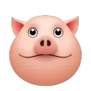 🐷 Cheapshot